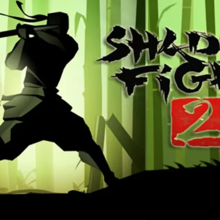 Beginner's Guide: Shadow Fight 2.