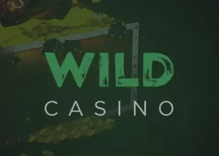 Wild Casino mobile App Bewertung