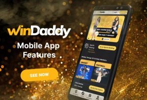 benefits of the Windaddy mobile application