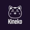Kineko Casino : Revue du Casino
