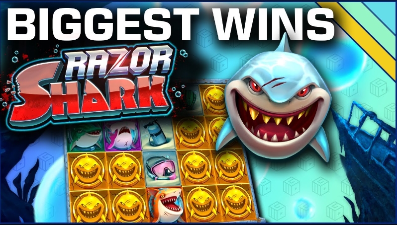 razor shark biggest win